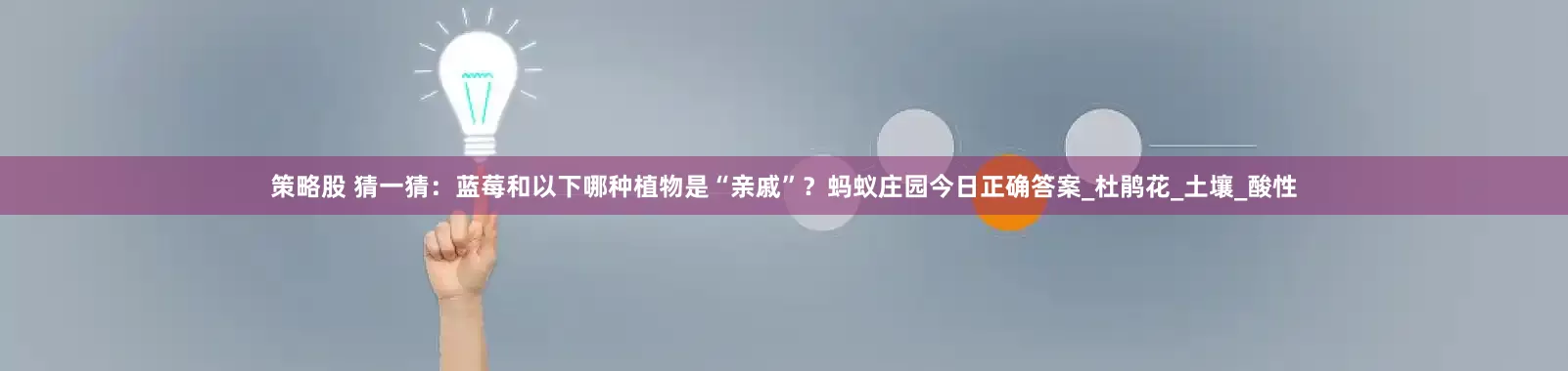 策略股 猜一猜：蓝莓和以下哪种植物是“亲戚”？蚂蚁庄园今日正确答案_杜鹃花_土壤_酸性