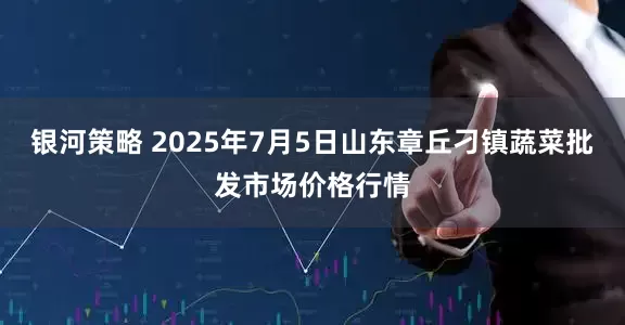 银河策略 2025年7月5日山东章丘刁镇蔬菜批发市场价格行情
