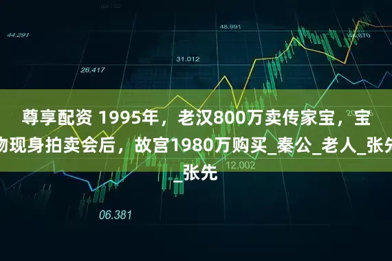 尊享配资 1995年，老汉800万卖传家宝，宝物现身拍卖会后，故宫1980万购买_秦公_老人_张先